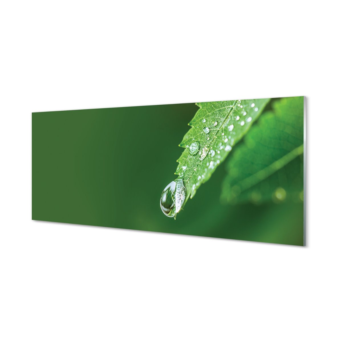Foto panel hartowany +klej Kropla woda liść 125x50 cm