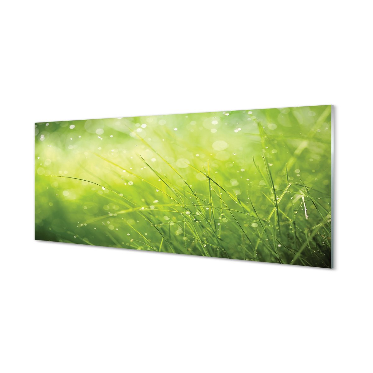 Płyta szklana dekor +klej Krople trawa rosa 125x50 cm