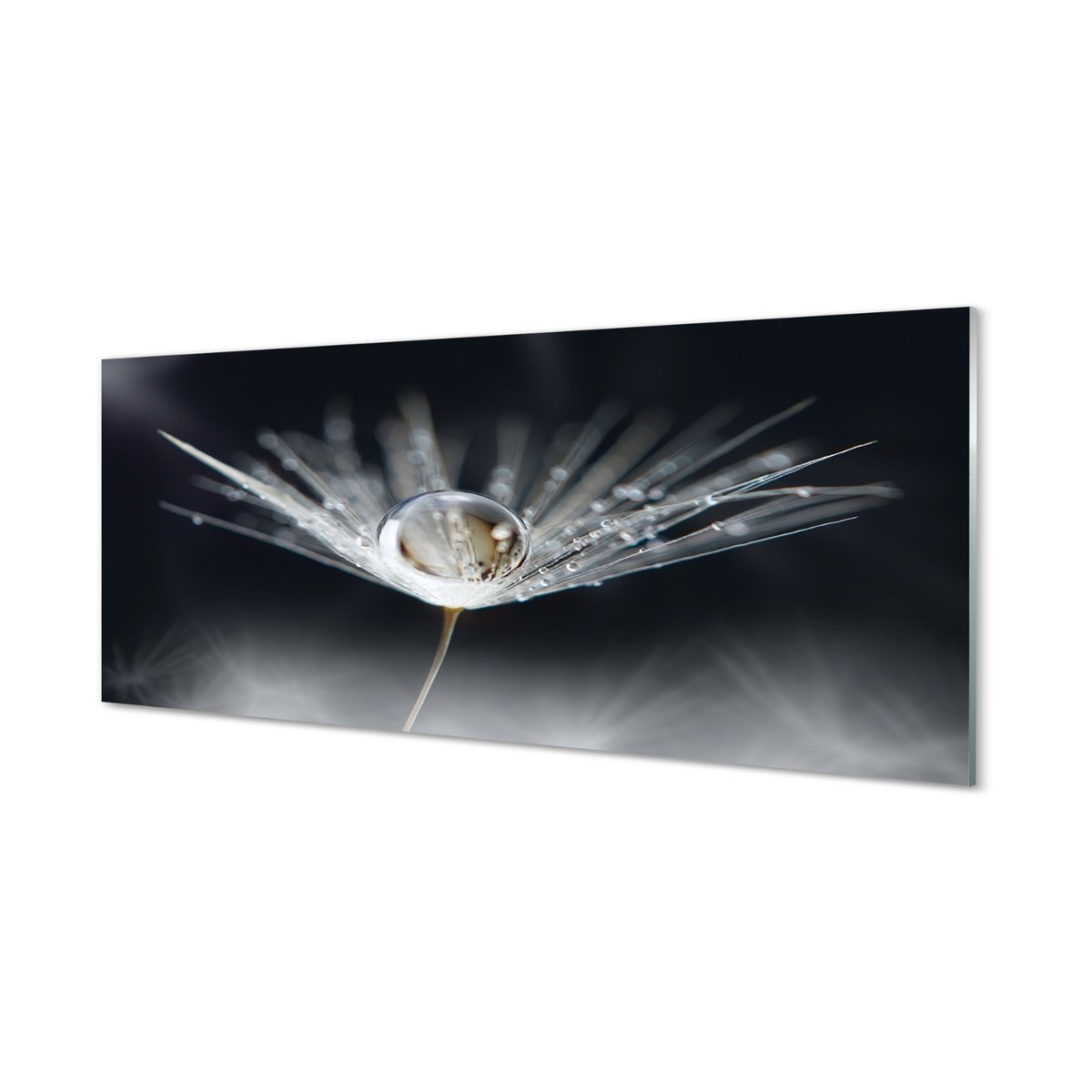 Panel szklany Kropla dmuchawiec makro 125x50 cm