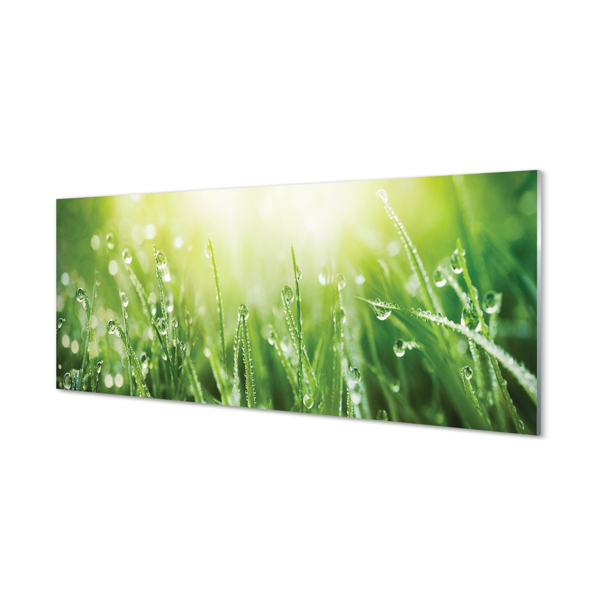 Panel szklany + klej Krople trawa słońce 125x50 cm