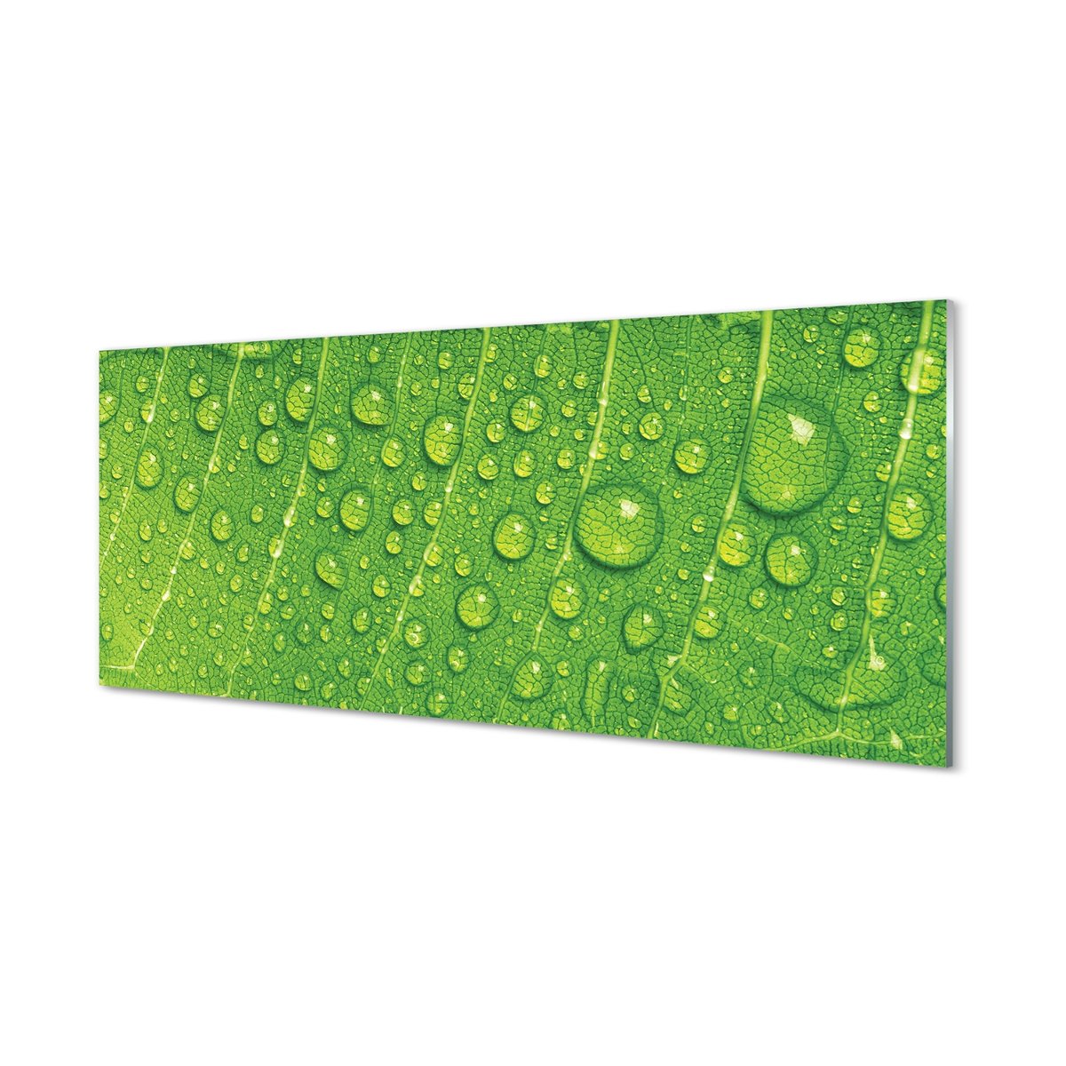Płyta szklana dekor +klej Krople liść makro 125x50 cm