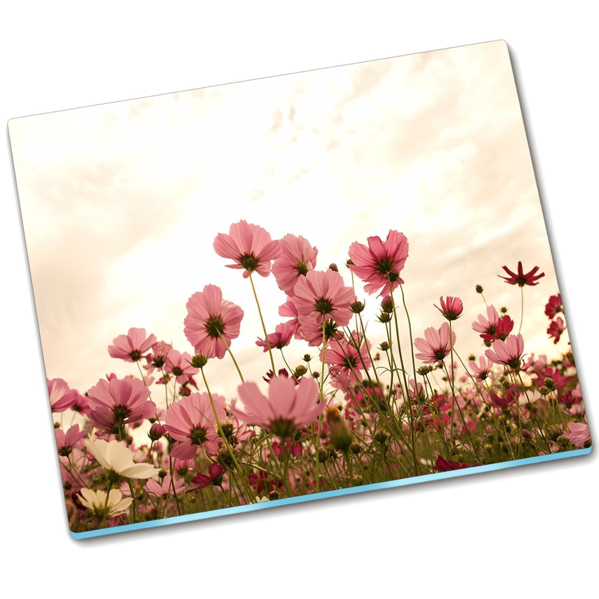 Płyta ochronna na indukcję Kwiaty kosmos - 60x52 cm