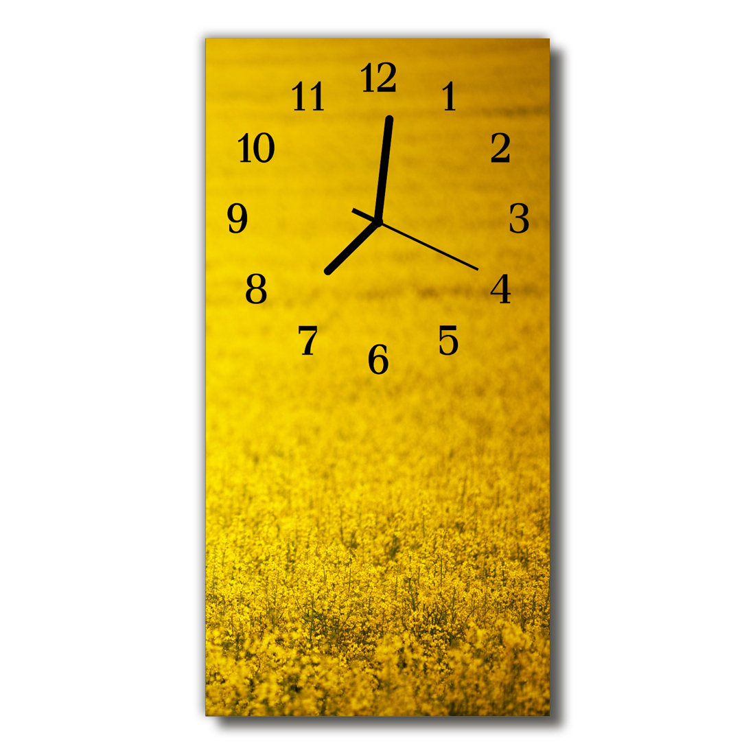 Zegar szklany pionowy Kwiaty Rzepak pole żółty