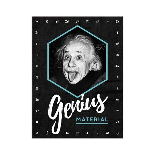 14395 Magnes Einstein Genius Material