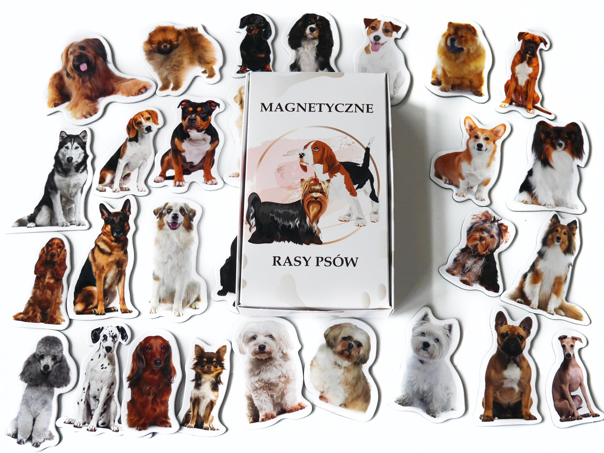 Magnesy kształtowe z tekturą poznaję RASY PSÓW 30 EL/Media Mag