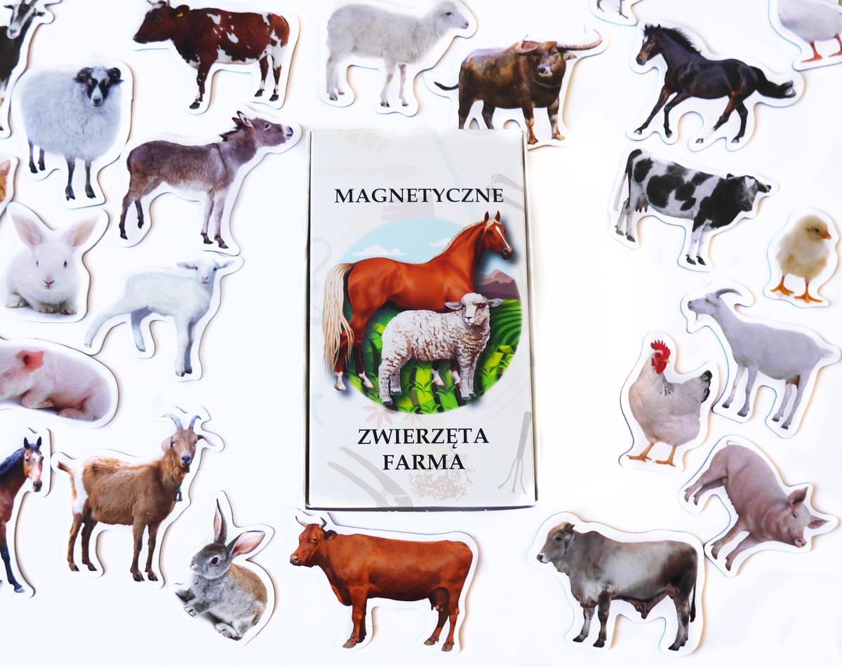 Magnesy kształtowe z tekturą poznaję ZWIERZĘTA FARMA 28 szt/Media Mag