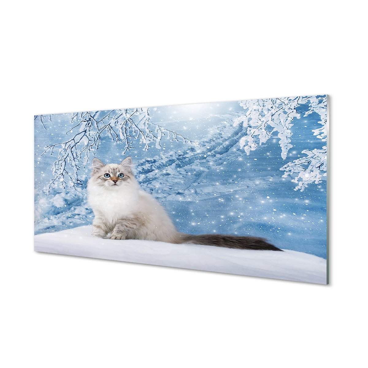 Nowoczesny lacobel z grafiką Kot zimą 120x60 cm
