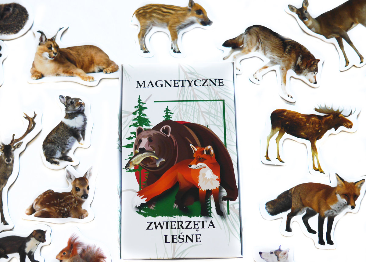 Magnesy na lodówę poznaję Zwierzęta Leśne