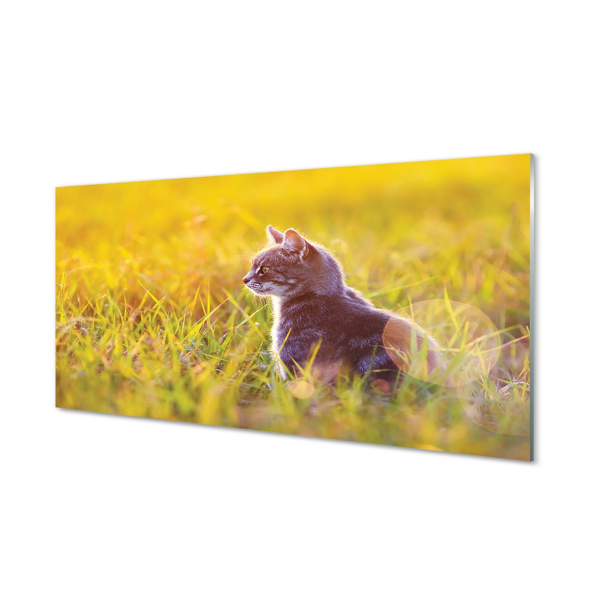 Ścienny panel kuchenny + klej Polujący kot 120x60
