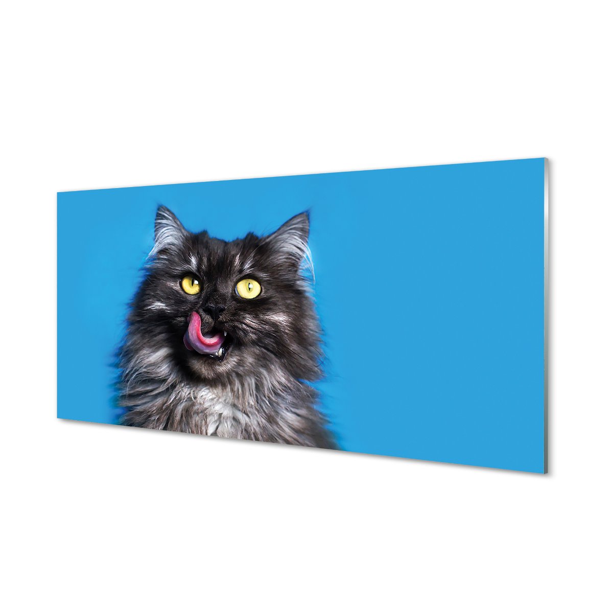 Panel kuchenny Oblizujący się kot 120x60