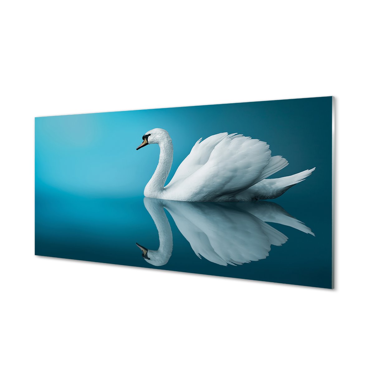 Panel szklany kuchenny Łabędź w wodzie 120x60 cm