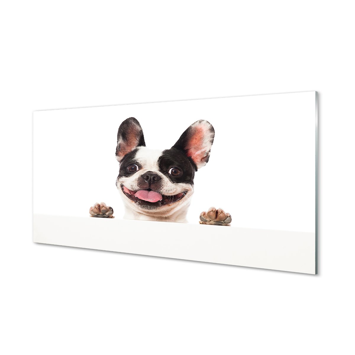Ochronny panel kuchenny między meble Pies 120x60