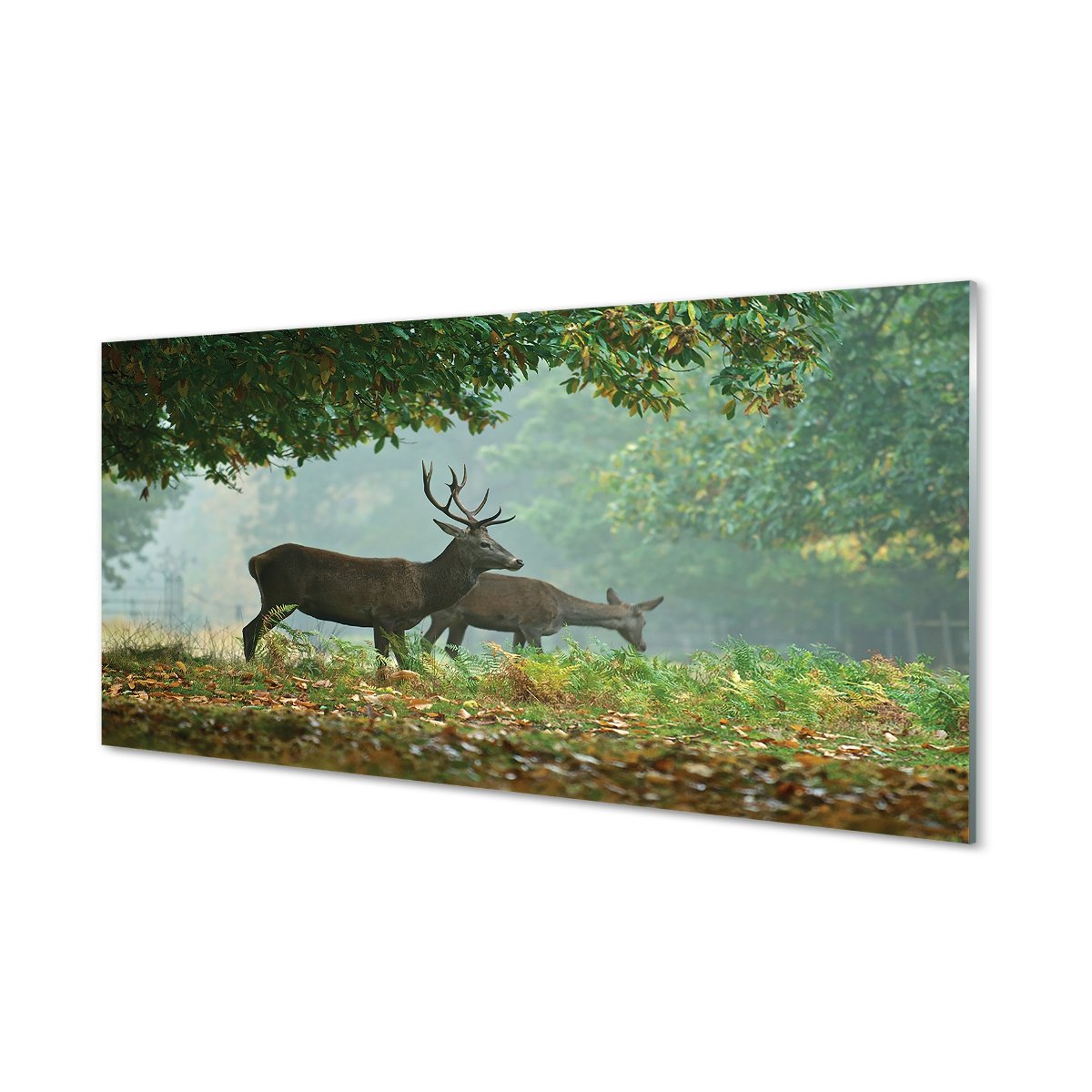 Lacobel ochronny + klej Jeleń las jesień 120x60 cm