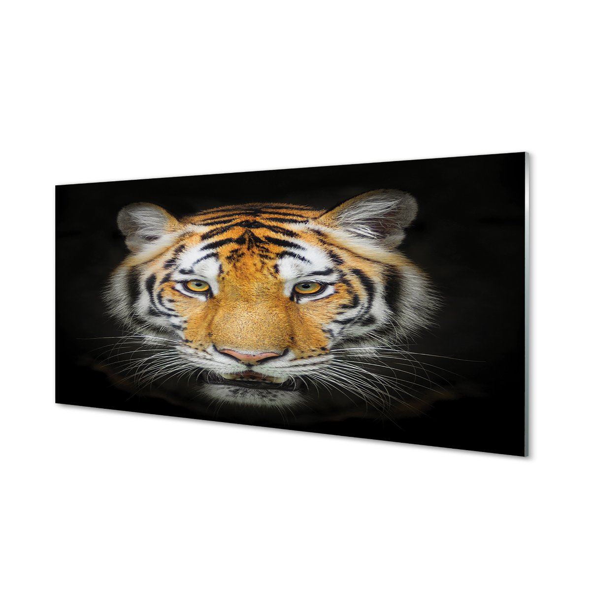 Foto panel kuchenny z grafiką + klej Tygrys 120x60