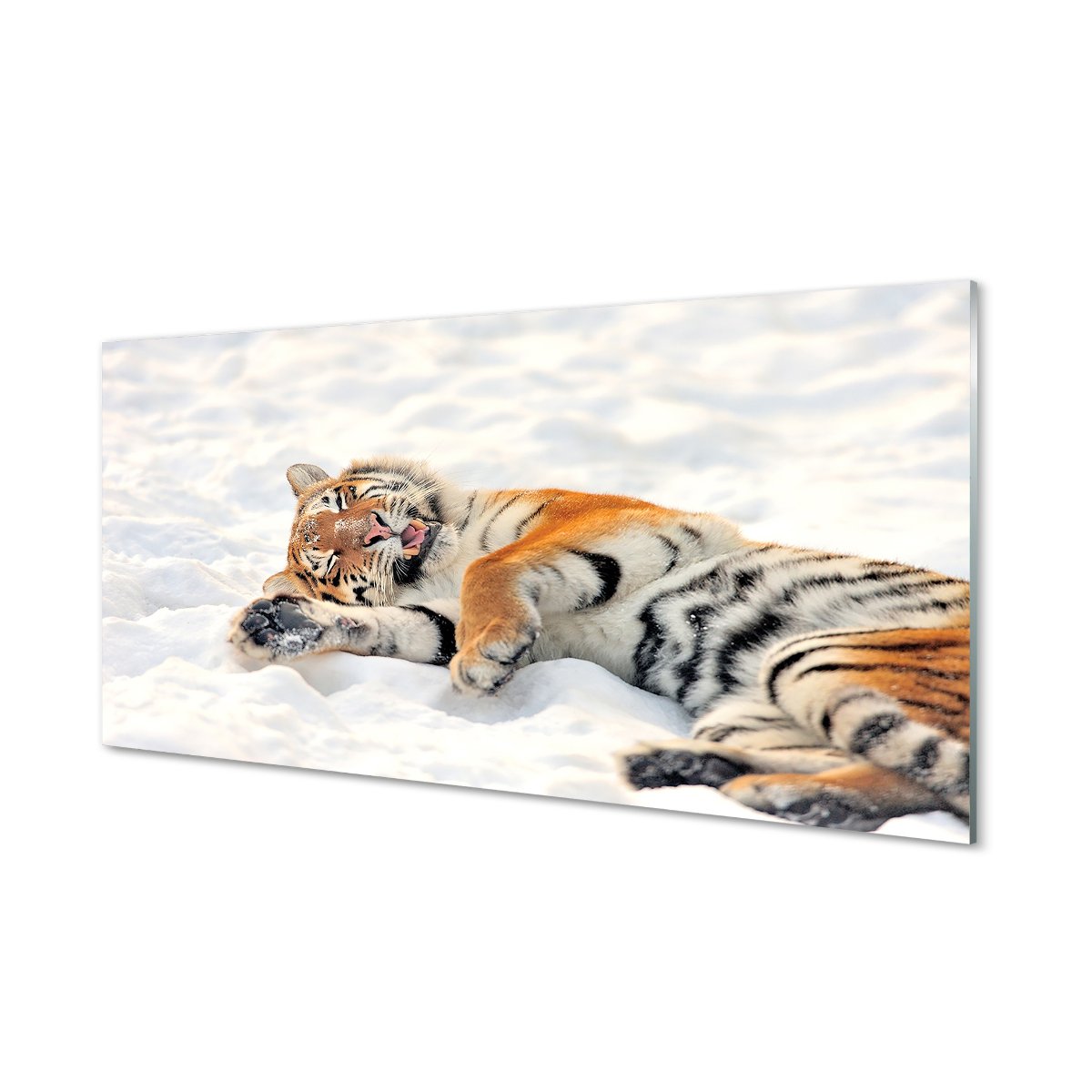 Lacobel kuchenny + klej Tygrys zima śnieg 120x60