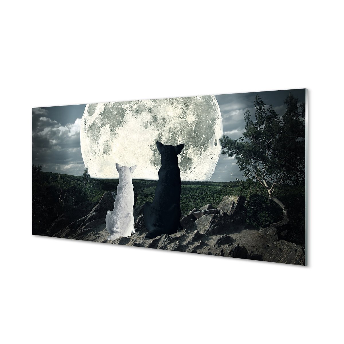 Panel ochronny do kuchni Wilki księżyc las 120x60