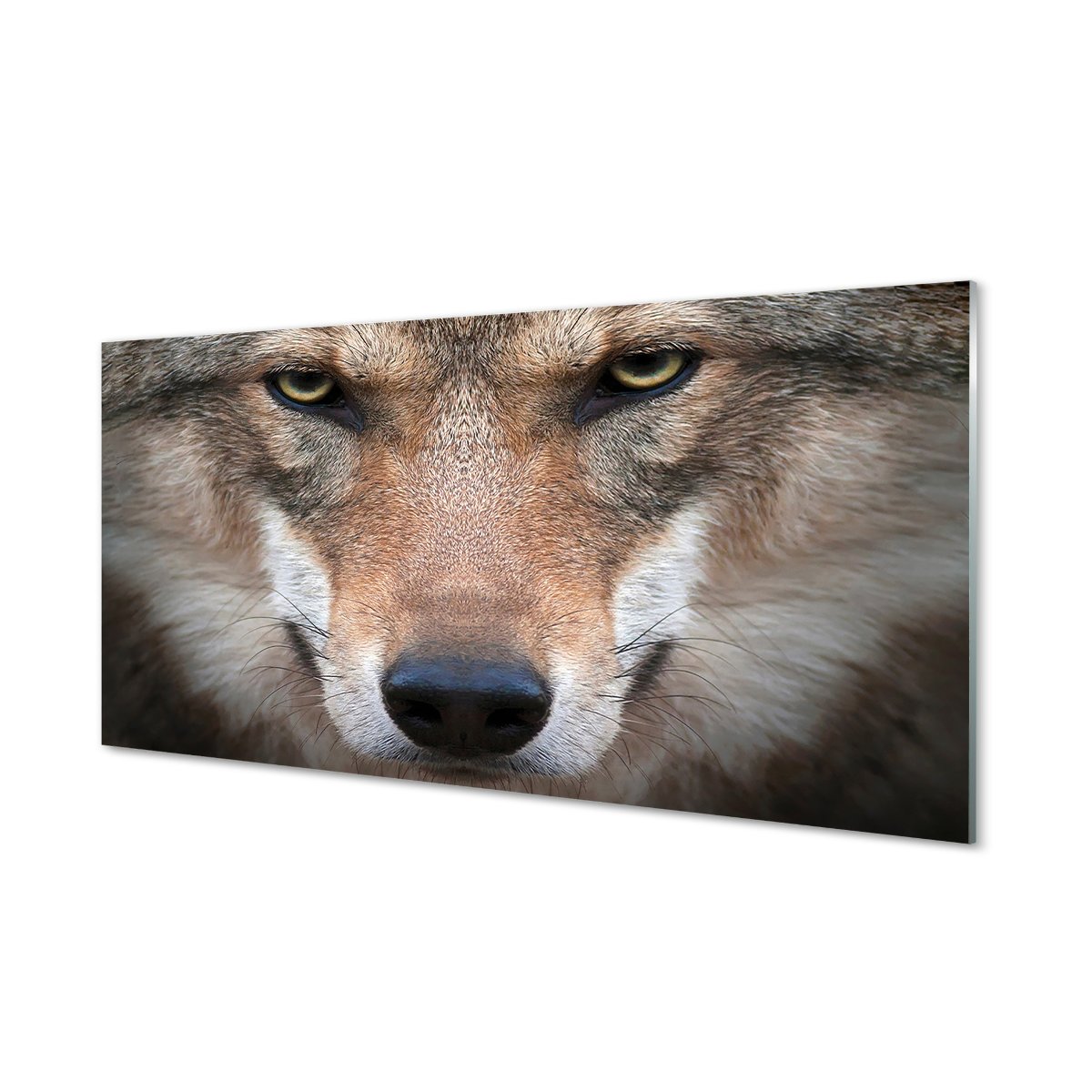 Panel szklany hartowany do kuchni Wilk oczy 120x60