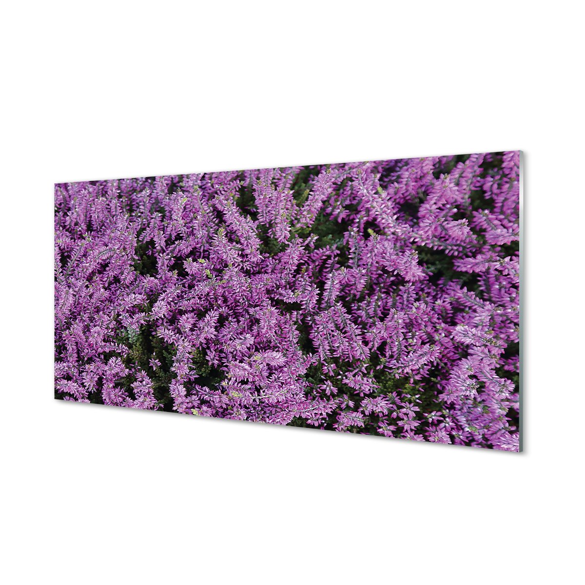 Nowoczesny panel szklany Fioletowe kwiaty 120x60