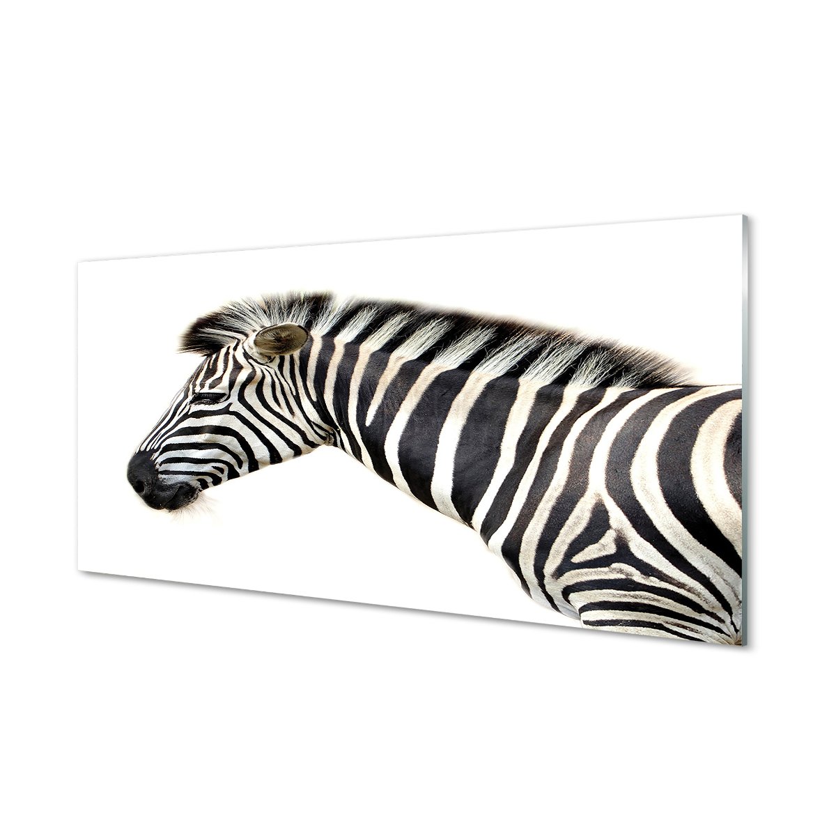 Panel dekoracyjny szkło hartowane Zebra 120x60 cm