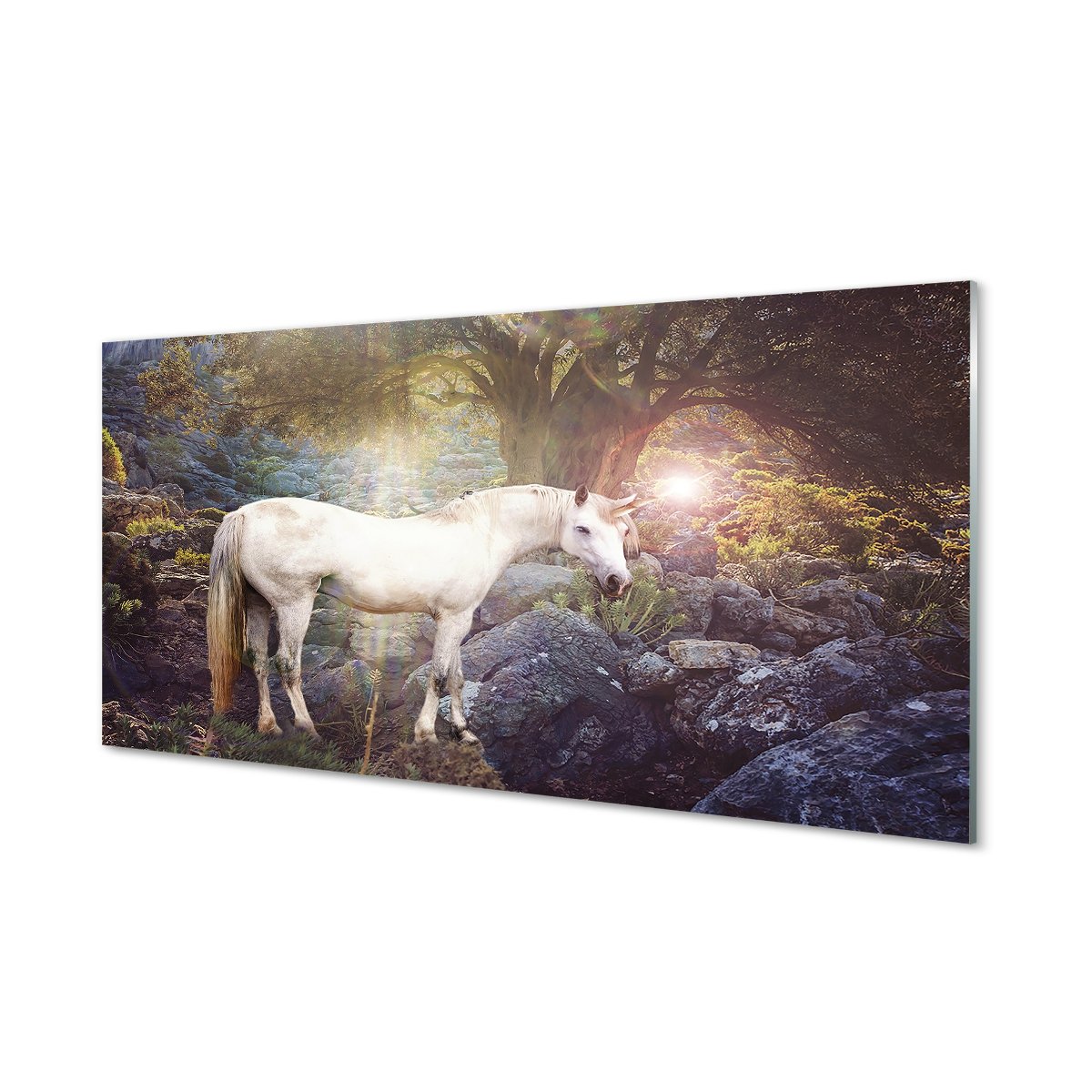 Kuchenny panel ochronny Jednorożec w lesie 120x60