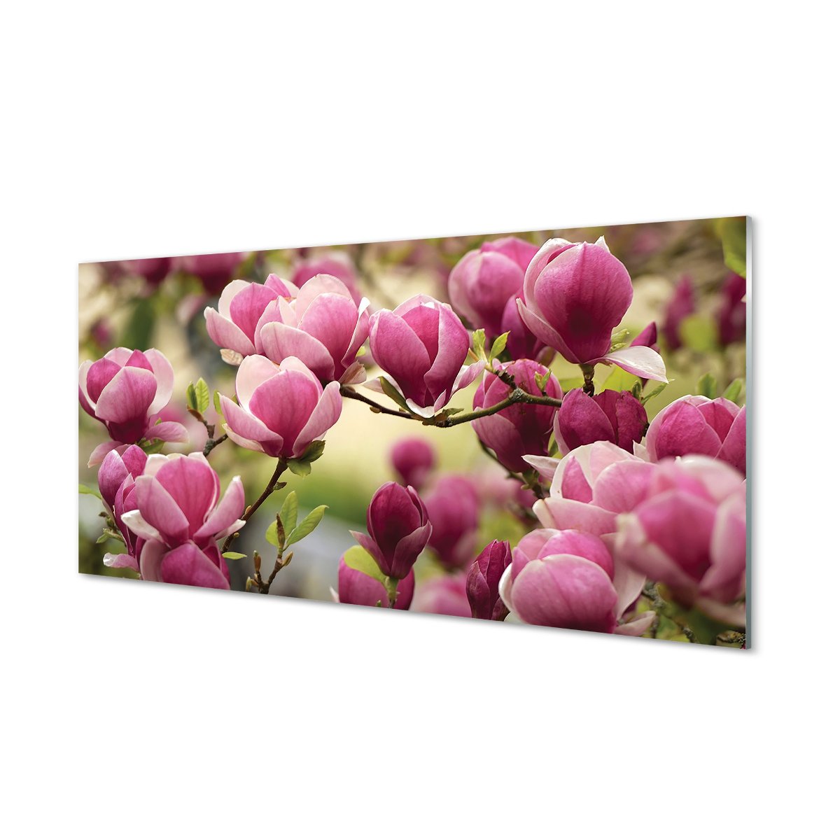 Panel szklany między szafki Kwiaty drzewa 120x60