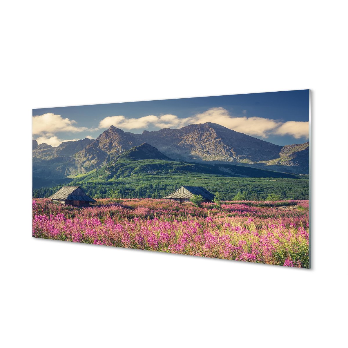 Szklany panel do kuchni Góry pola domki 120x60 cm