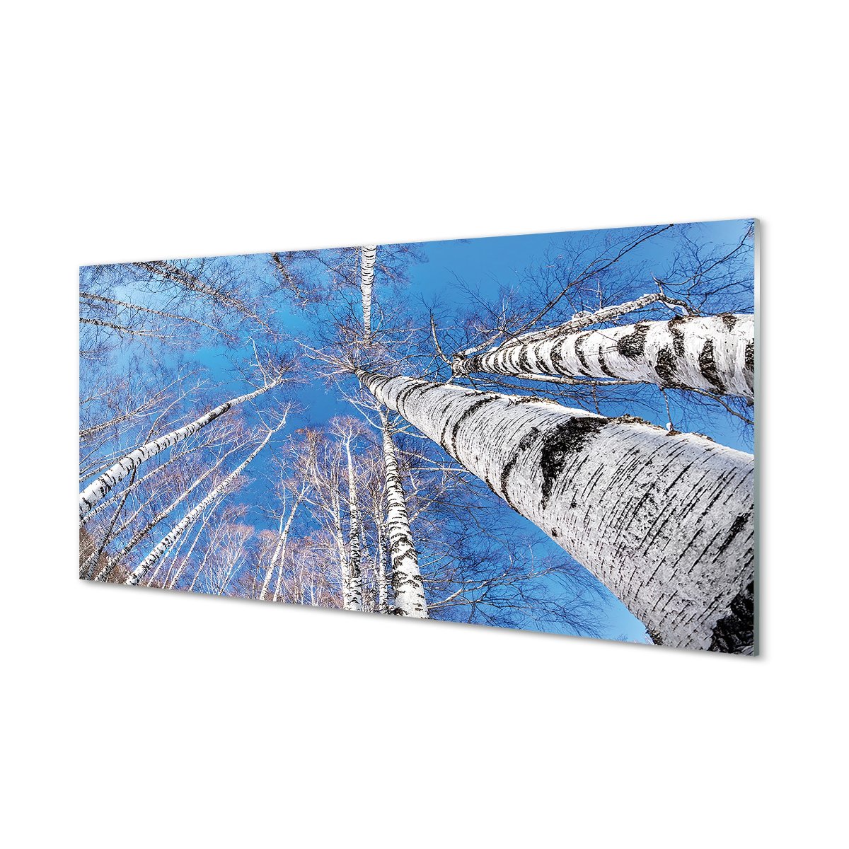 Panel hartowany do kuchni Brzozy niebo 120x60 cm