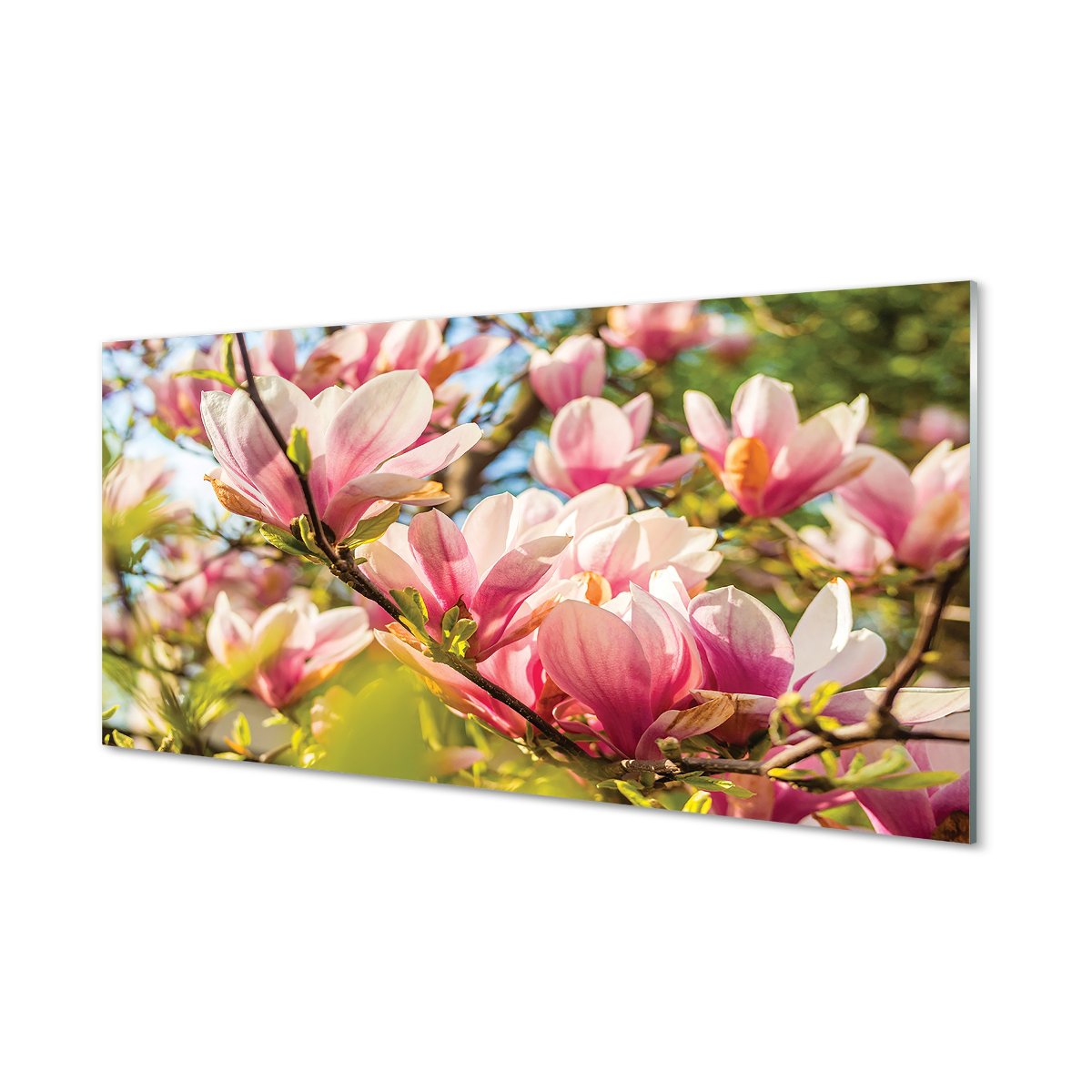 Panel szklany klej Różowa magnolia 120x60