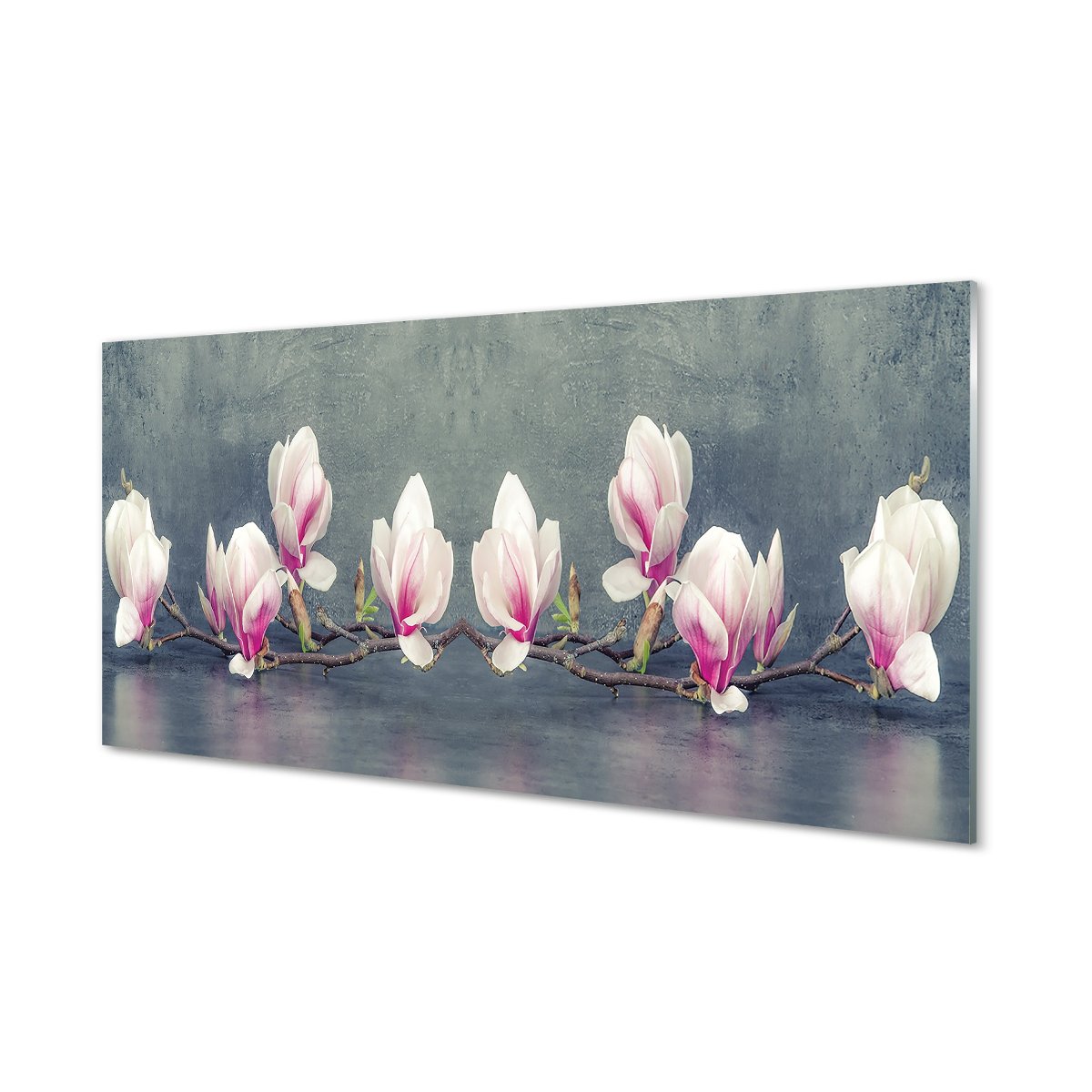 Szklany panel ścienny + klej Gałąź magnolii 120x60