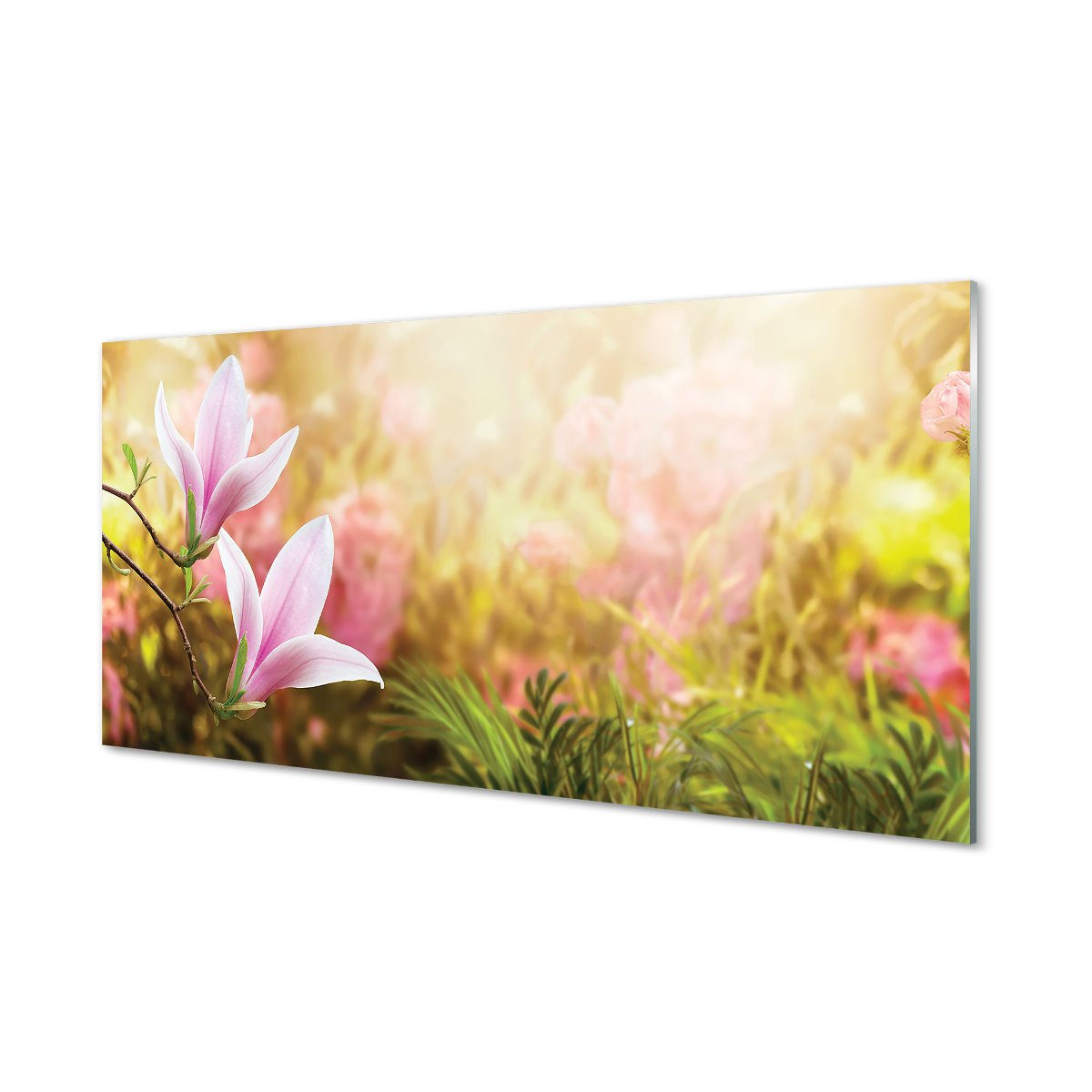Panel szklany + klej Magnolia drzewa słońce 120x60