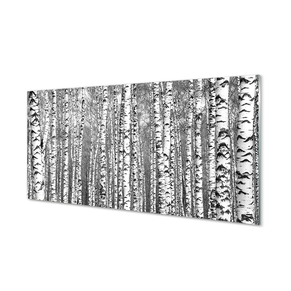 Panel szkło hartowane Czarno-białe drzewa 120x60