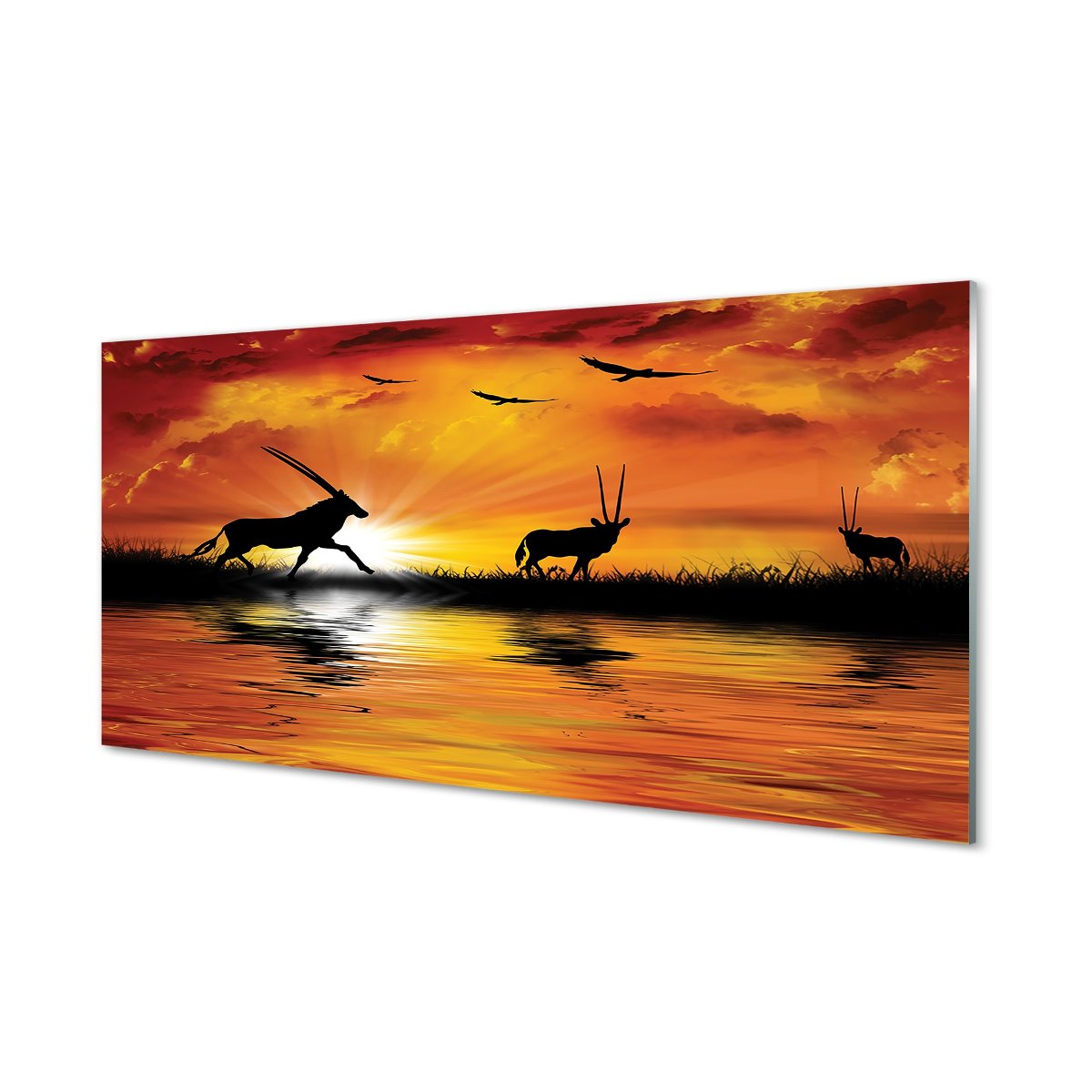 Ścienny panel kuchenny Ptaki jezioro zachód 120x60