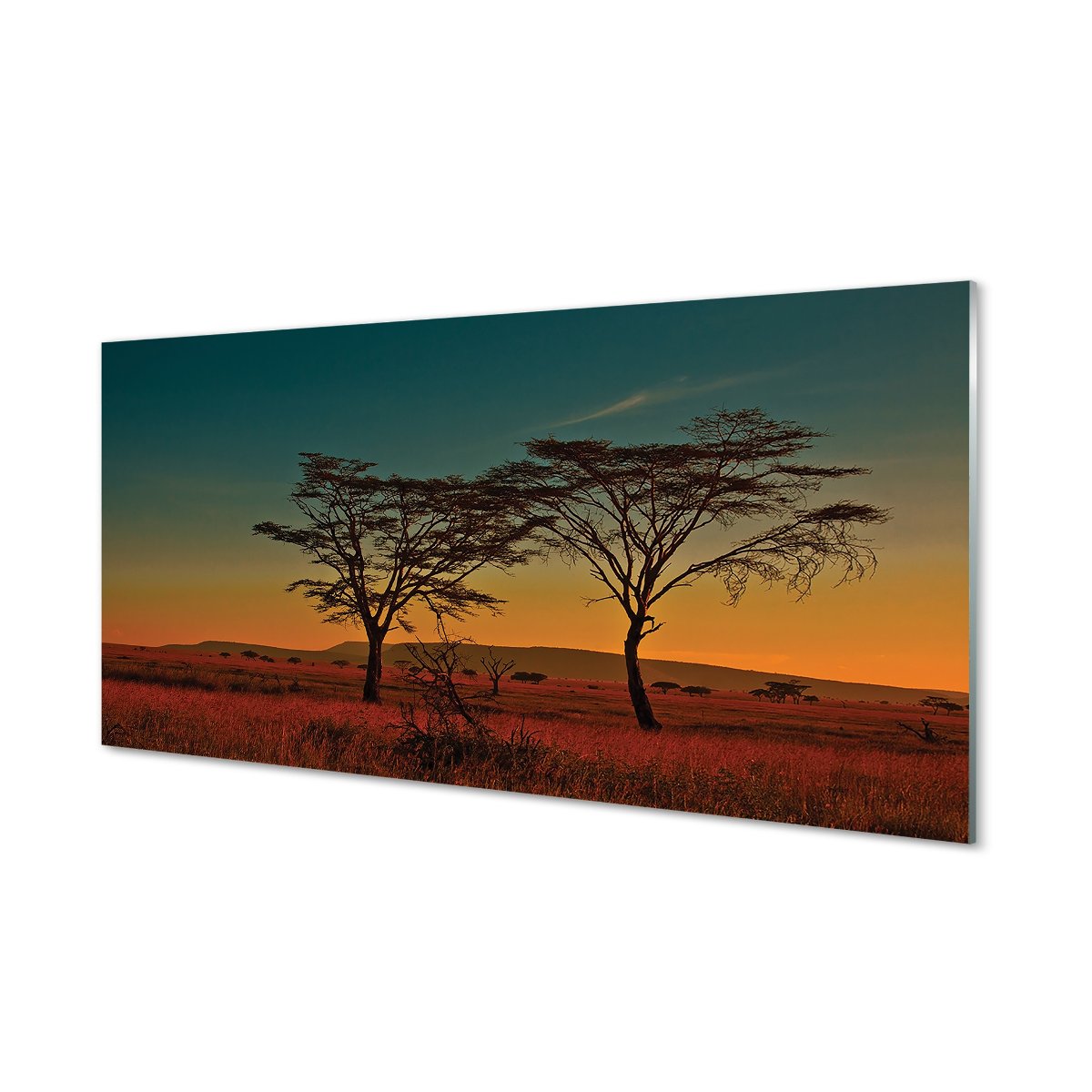 Nowoczesny panel szklany Niebo drzewa 120x60 cm
