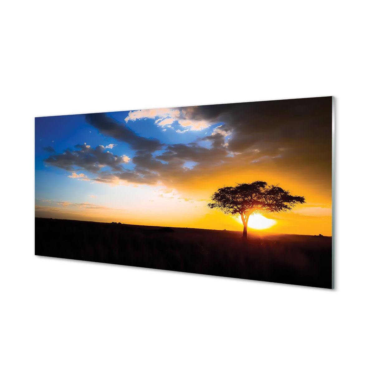 Szklany panel ochronny + klej Chmury drzewo 120x60