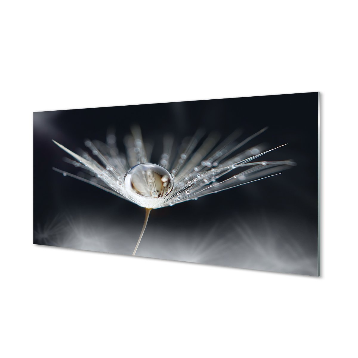 Panel szklany Kropla dmuchawiec makro 120x60 cm