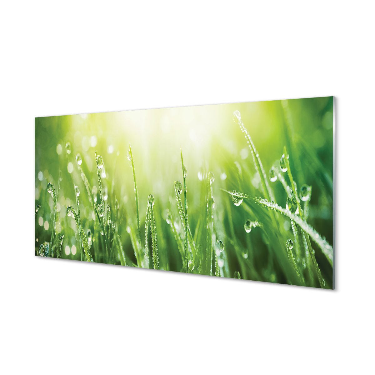 Panel szklany + klej Krople trawa słońce 120x60 cm