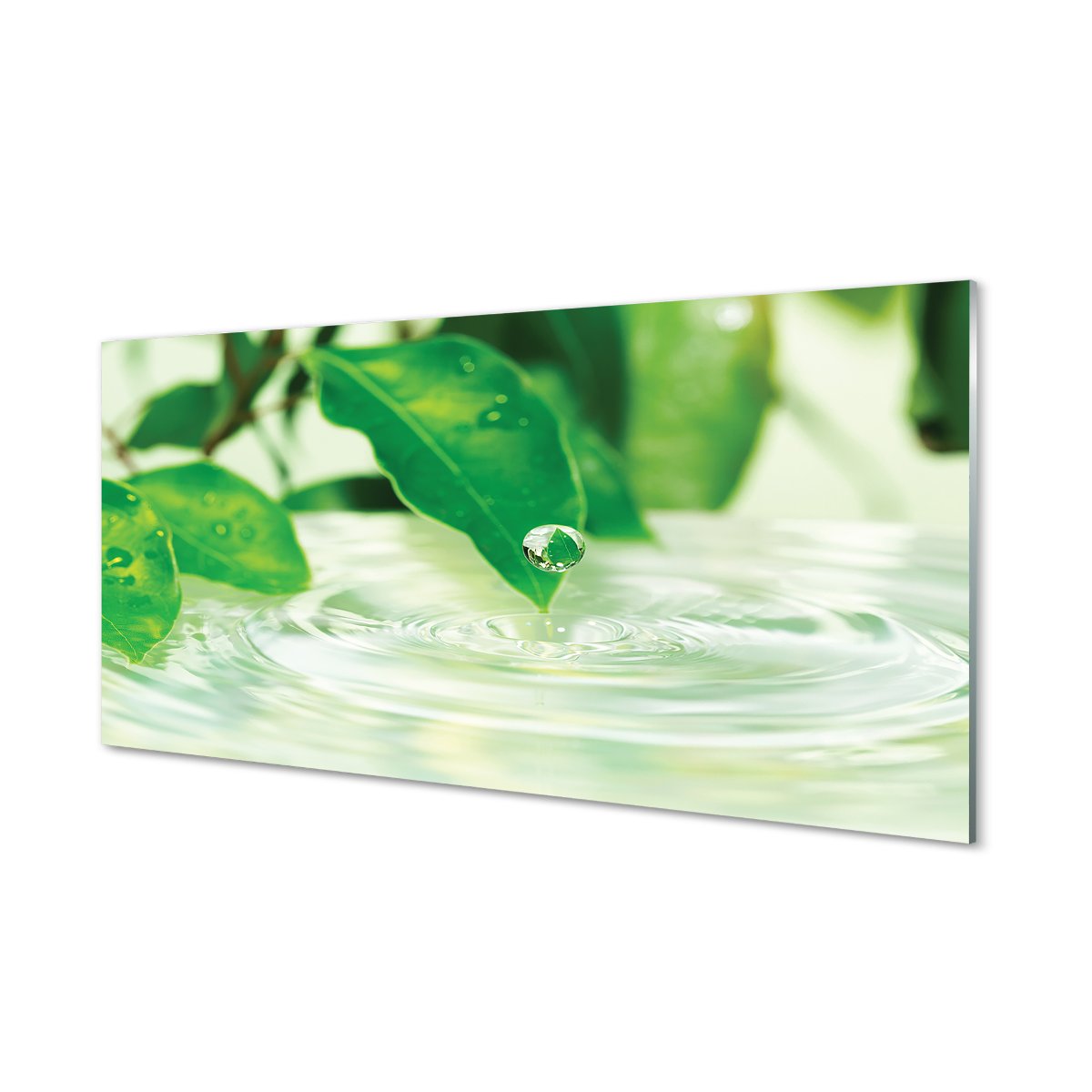Panel szkło za indukcję Krople liście woda 120x60
