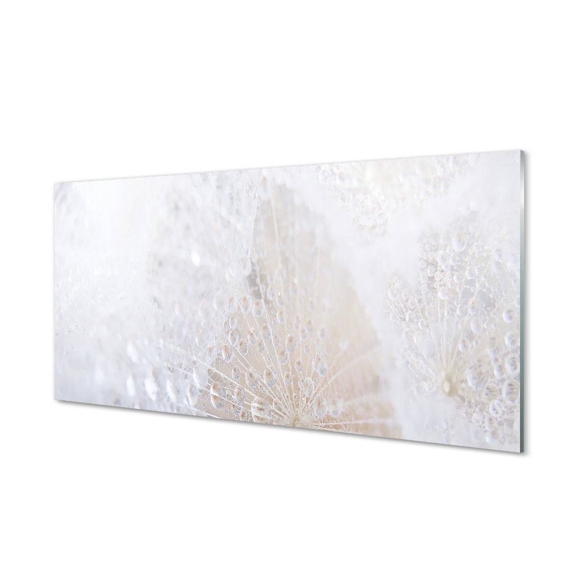 Panel ścienny Krople dmuchawiec abstrakcja 120x60