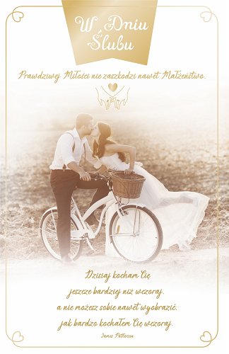 Kartka na ślub sepi SAB 34