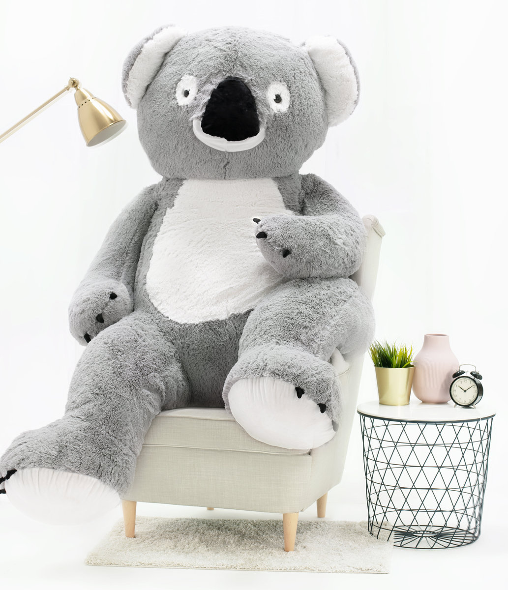 Miś Gustaw, duży miś Koala, 190 cm
