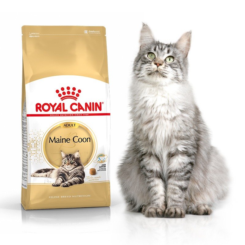 Royal Canin Maine Coon 4 kg