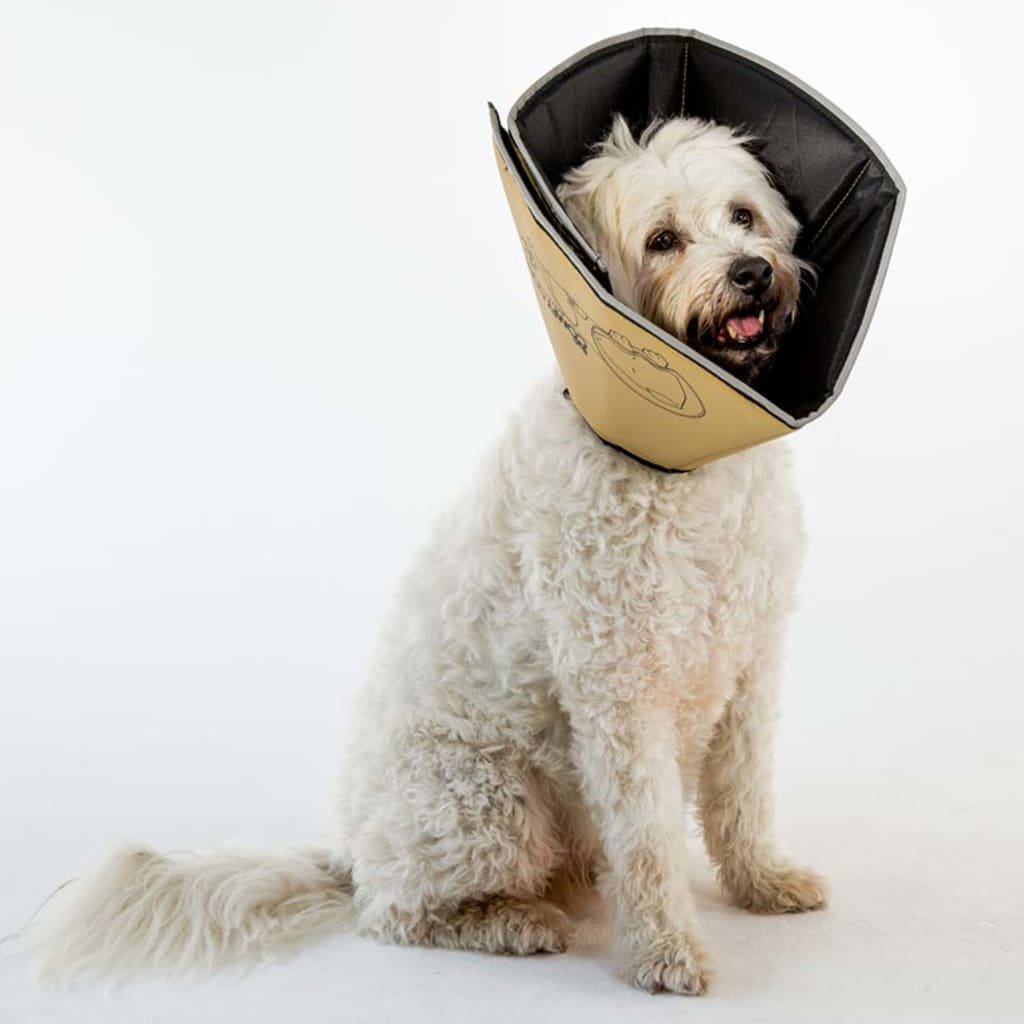 Kołnierz ochronny ALL FOUR PAWS Comfy Cone, rozmiar S, długi, 20 cm, brązowy