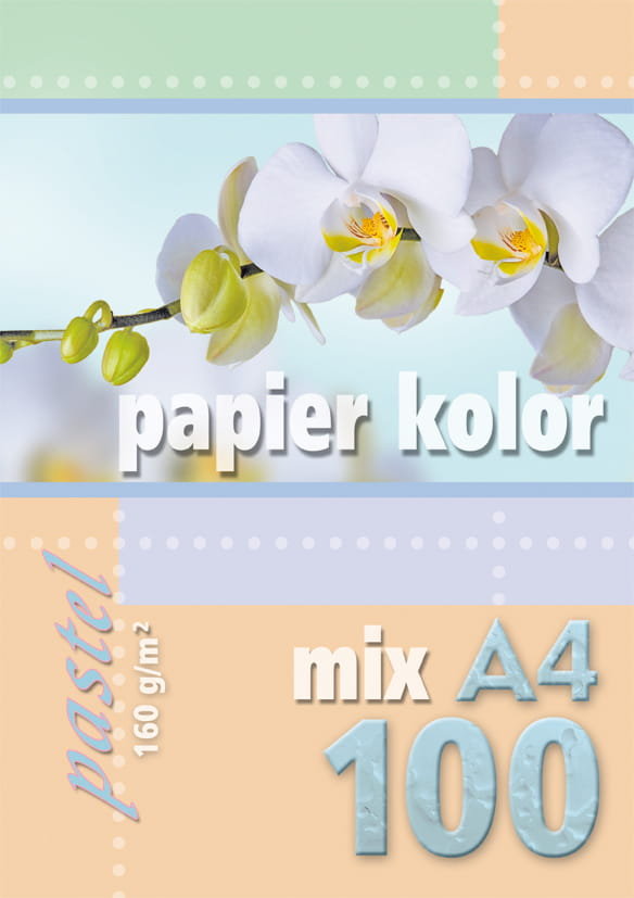 . Papier kolorowy A4 100k 160g pastel mix kolorów