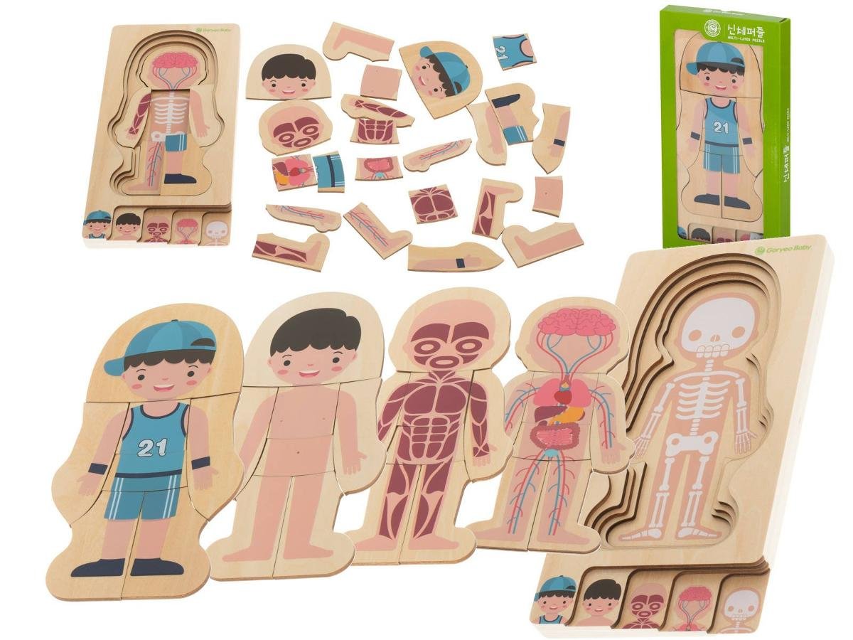 Puzzle drewniane budowa ciała montessori chłopiec KX5957_1