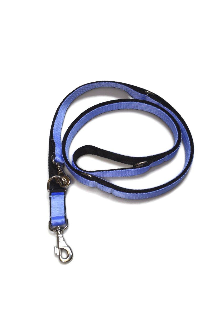 Smycz podwójna ALIZOO A-207, 30 mm x 330 cm błękitna