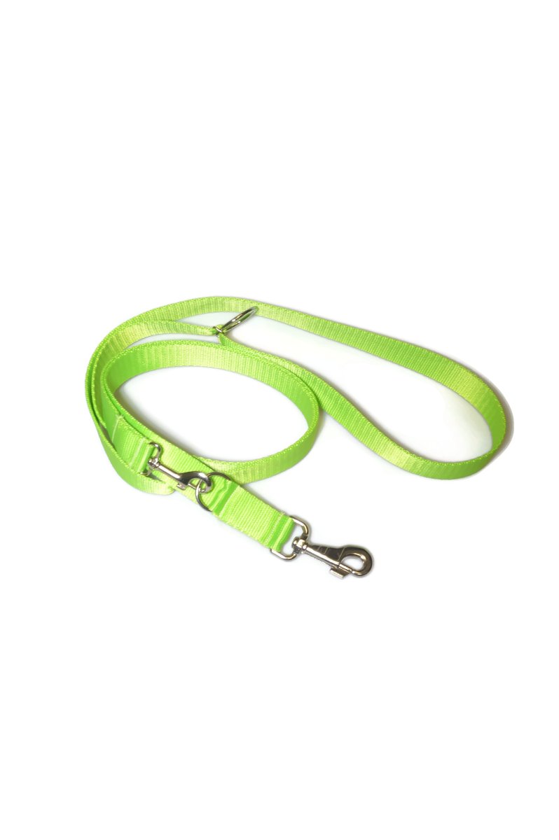 Smycz taśma ALIZOO A-036, 30 mm x 220 cm seledynowa