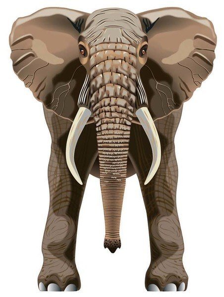 latawiec BRAINSTORM - WNS SkyZoo 40x30 Nylon Elephant