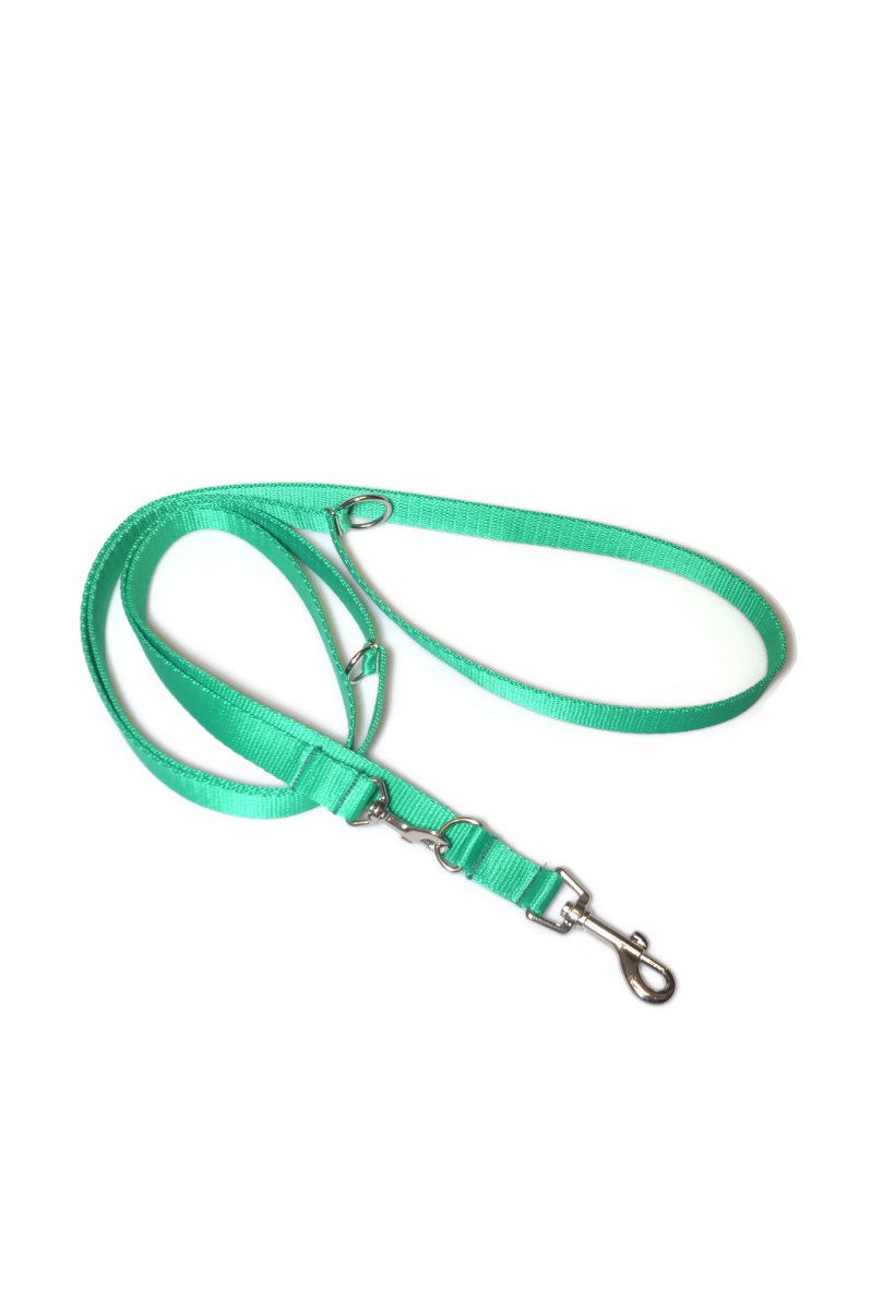 Smycz taśma ALIZOO A-034, 20 mm x 220 cm zielona