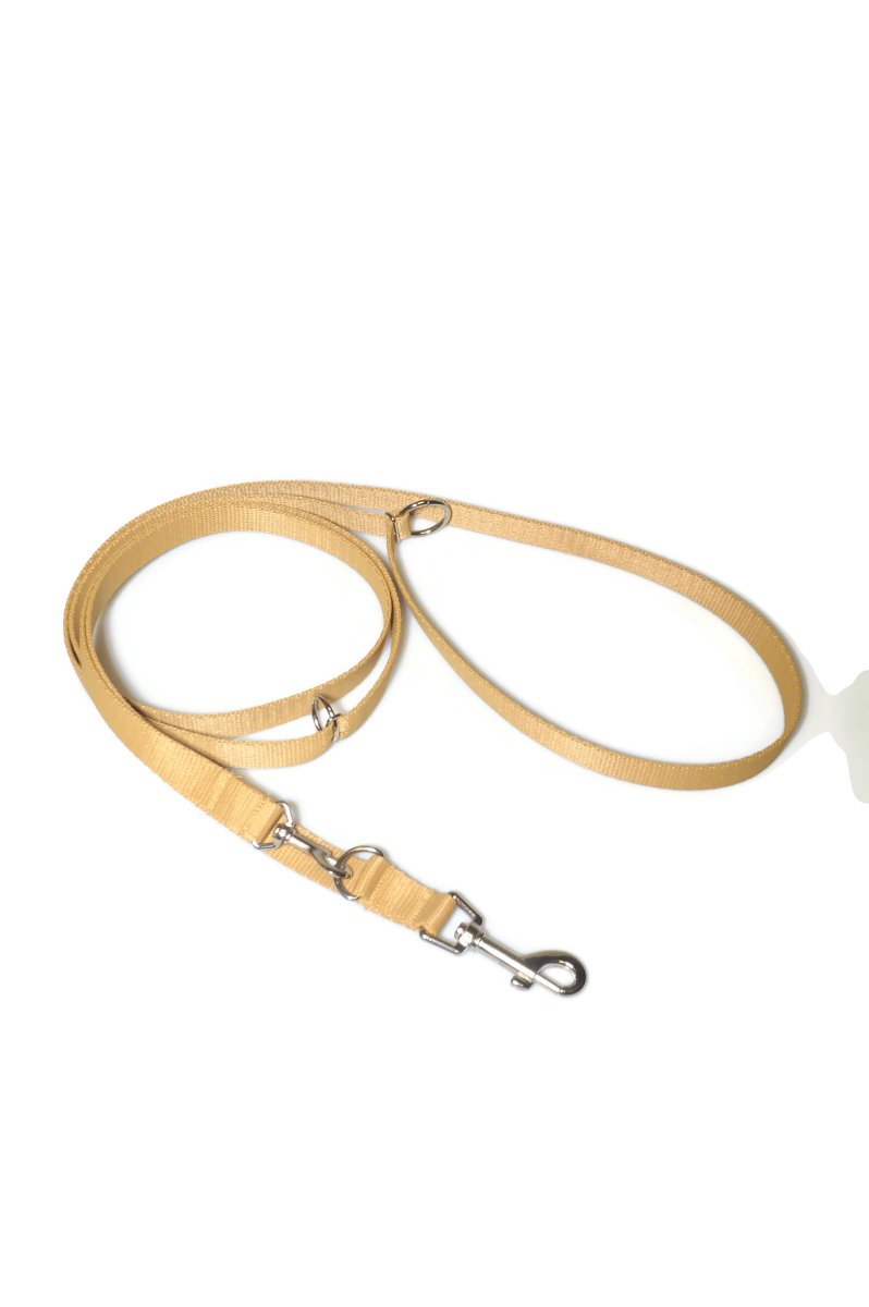 Smycz taśma ALIZOO A-034, 20 mm x 220 cm złota