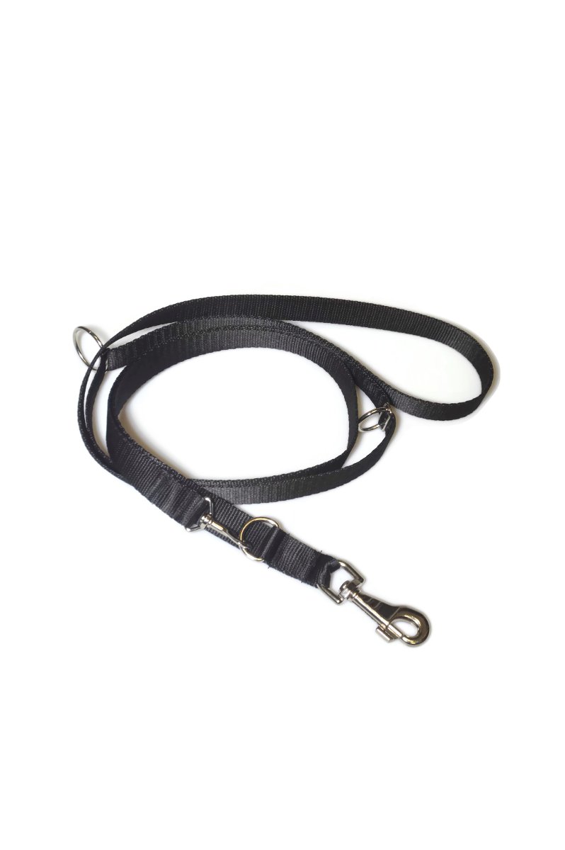 Smycz taśma ALIZOO A-035, 25 mm x 220 cm różowa